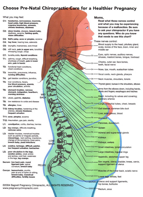 Chiropractic Adjustment Chart